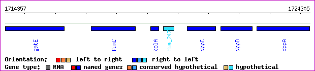 gene map