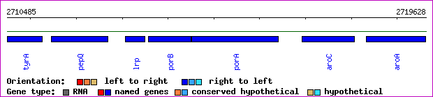 gene map