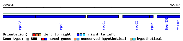 gene map