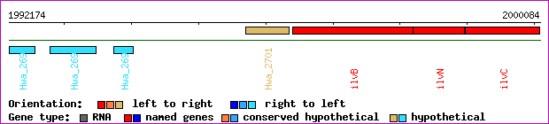 gene map