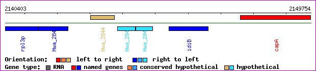 gene map