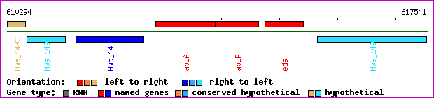 gene map