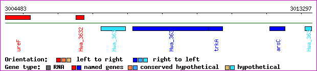gene map