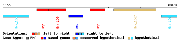 gene map