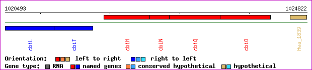 gene map