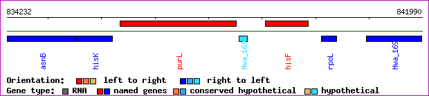 gene map
