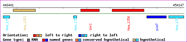 gene map