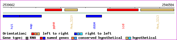 gene map
