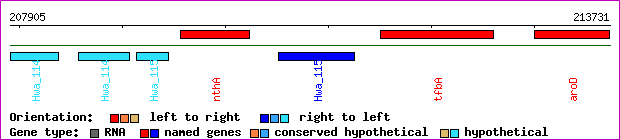 gene map