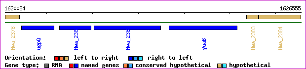 gene map