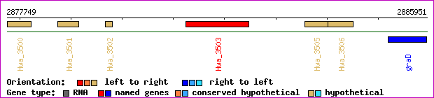 gene map