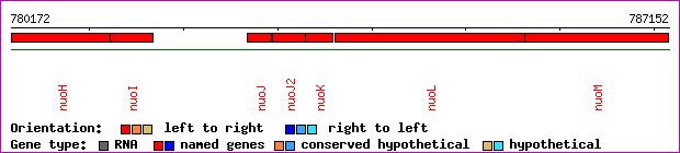 gene map