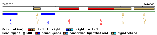 gene map