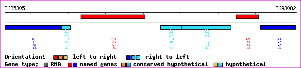 gene map