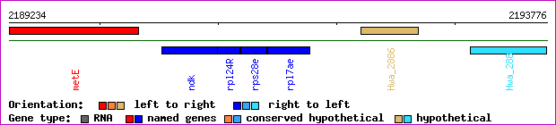 gene map
