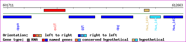 gene map