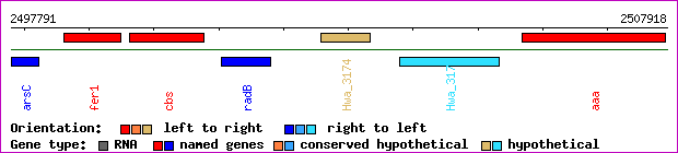 gene map