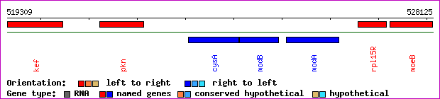 gene map