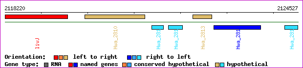 gene map