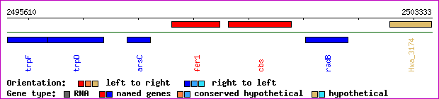 gene map