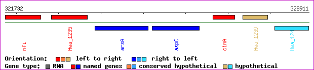 gene map