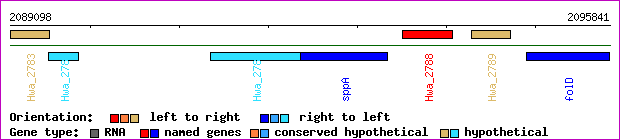 gene map