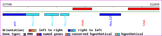 gene map