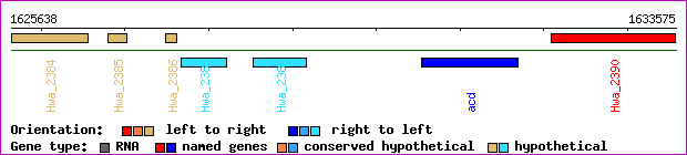 gene map