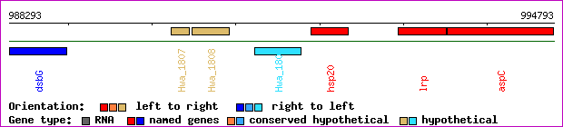 gene map