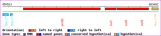 gene map