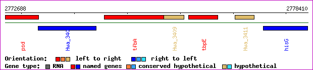 gene map