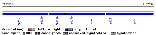 gene map