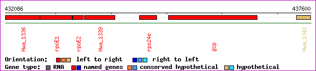 gene map