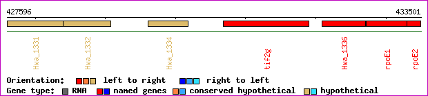 gene map