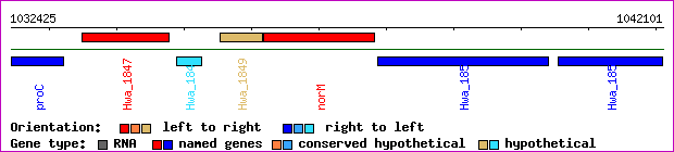 gene map