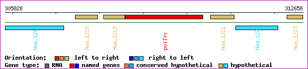 gene map