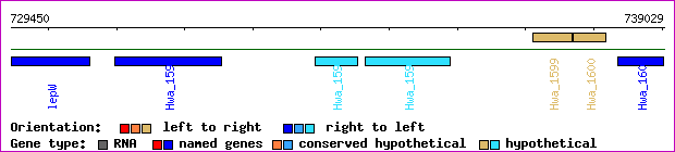 gene map