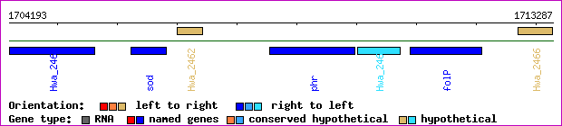 gene map