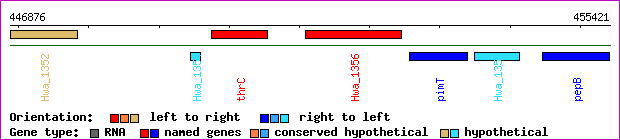 gene map