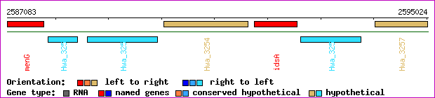 gene map