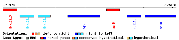 gene map