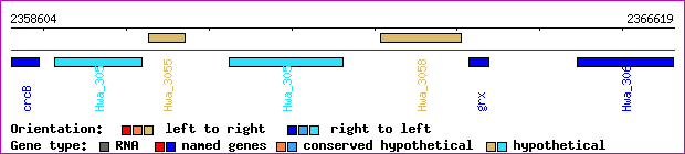 gene map