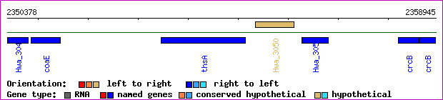 gene map