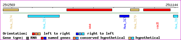 gene map