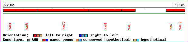 gene map
