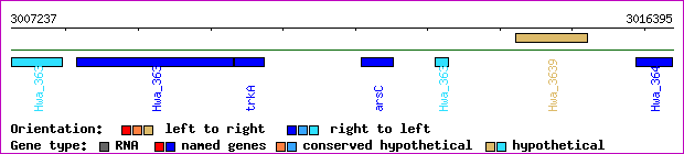 gene map
