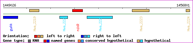 gene map