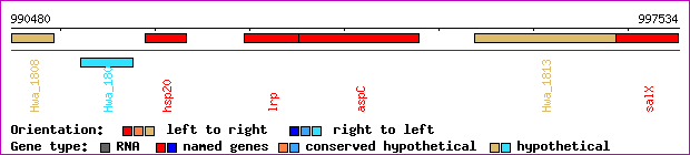 gene map