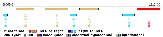 gene map
