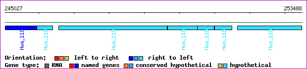gene map